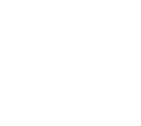 Steeping Teas - Remarkable Tea Co