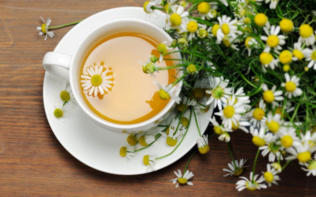 Why Chamomile Tea?