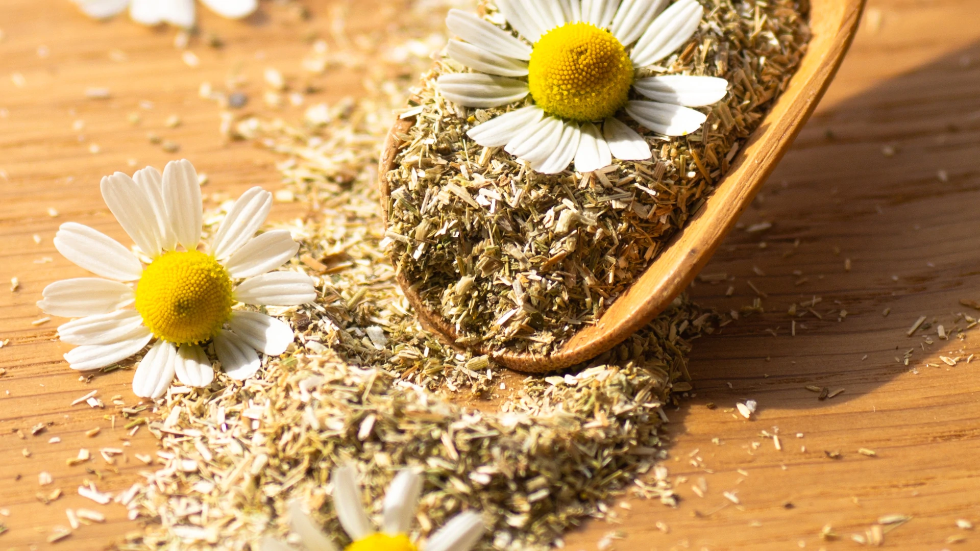 How Chamomile Tea Help You Sleep